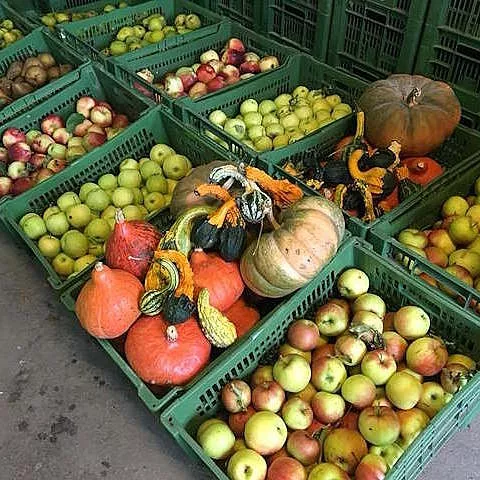 Einkaufserlebnis bei Gärtnerei Jakubek