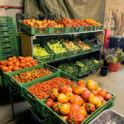 Einkaufserlebnis bei Gärtnerei Jakubek