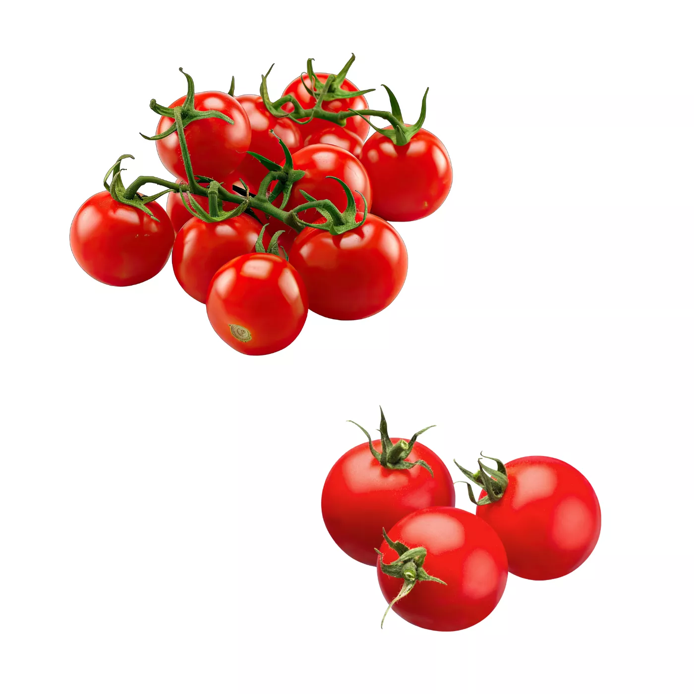 SALAT - PARADEISER ROT | Gärtnerei Jakubek