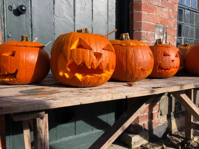 Halloween-Kürbisschnitzen  | Gärtnerei Jakubek