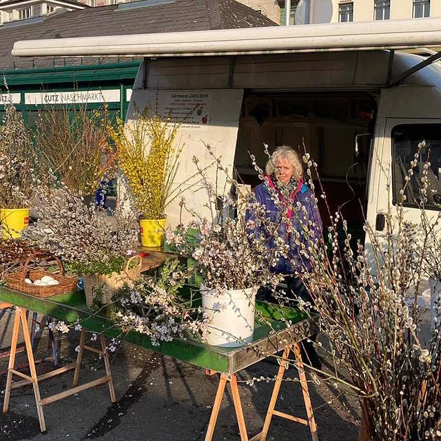 Bauernmarkt am Wiener Naschmarkt | Gärtnerei Jakubek - Palmkätzchen