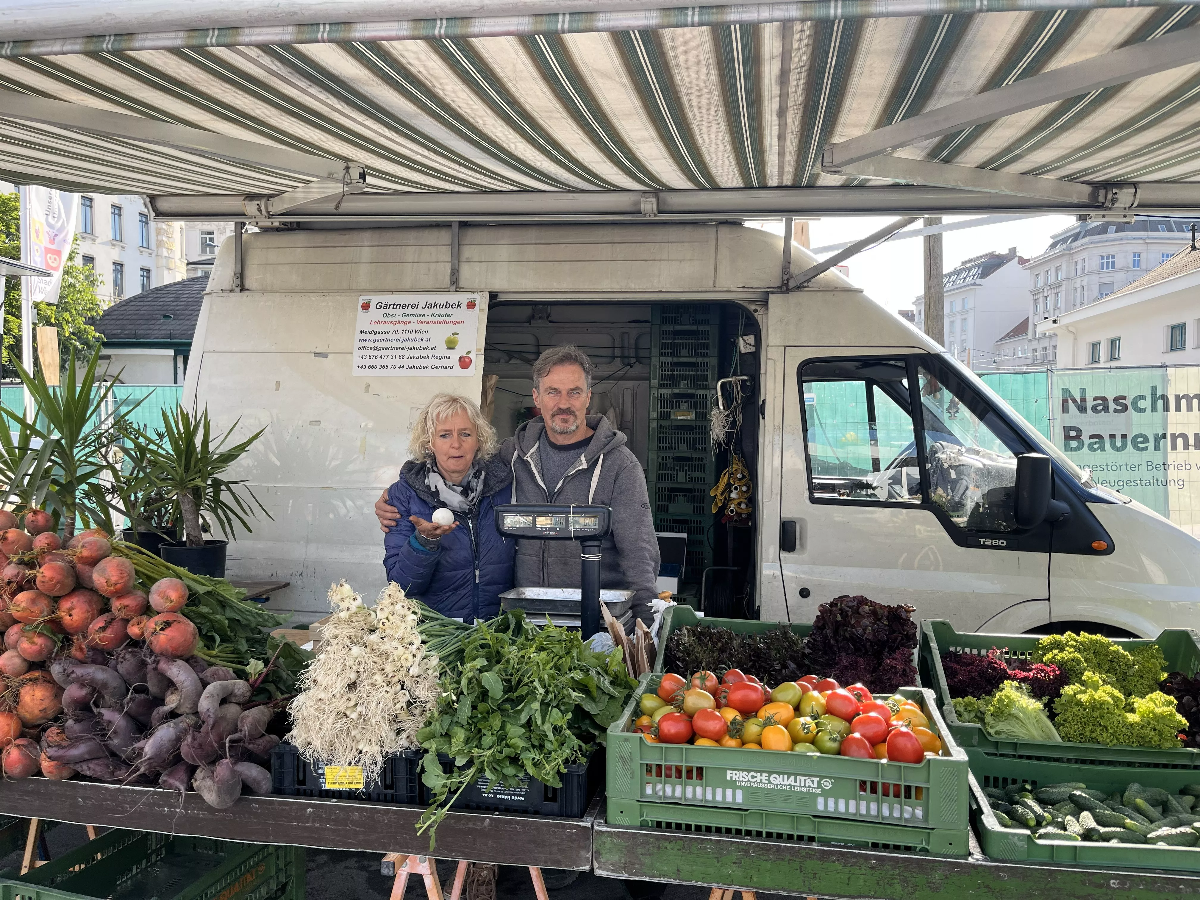 Agave Victoria | Fotoalben | Gärtnerei Jakubek